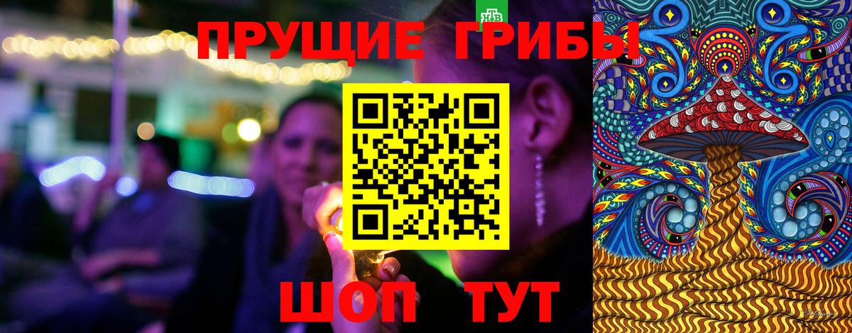 Алексеевка  Псилоцибиновые грибы ЛСД  цены   Вход с VPN 