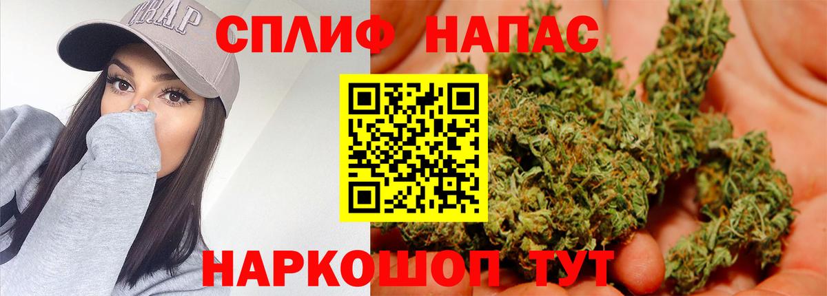 Бошки марихуана марихуана Алексеевка
